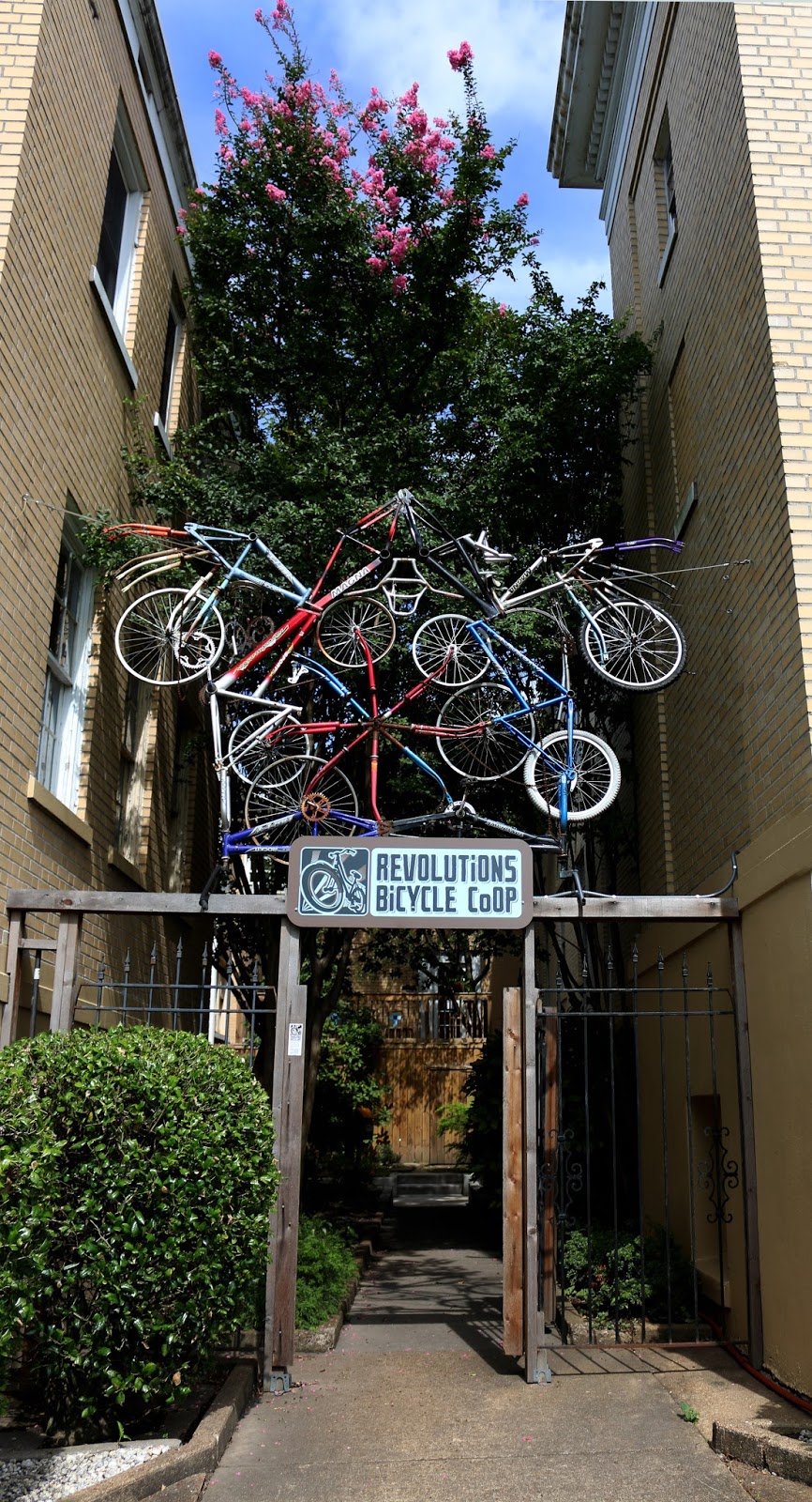 Memphis Cyclist Revolutions Bicycle Coop is a revolutionary bicycle