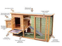 coop chicken plans easy build