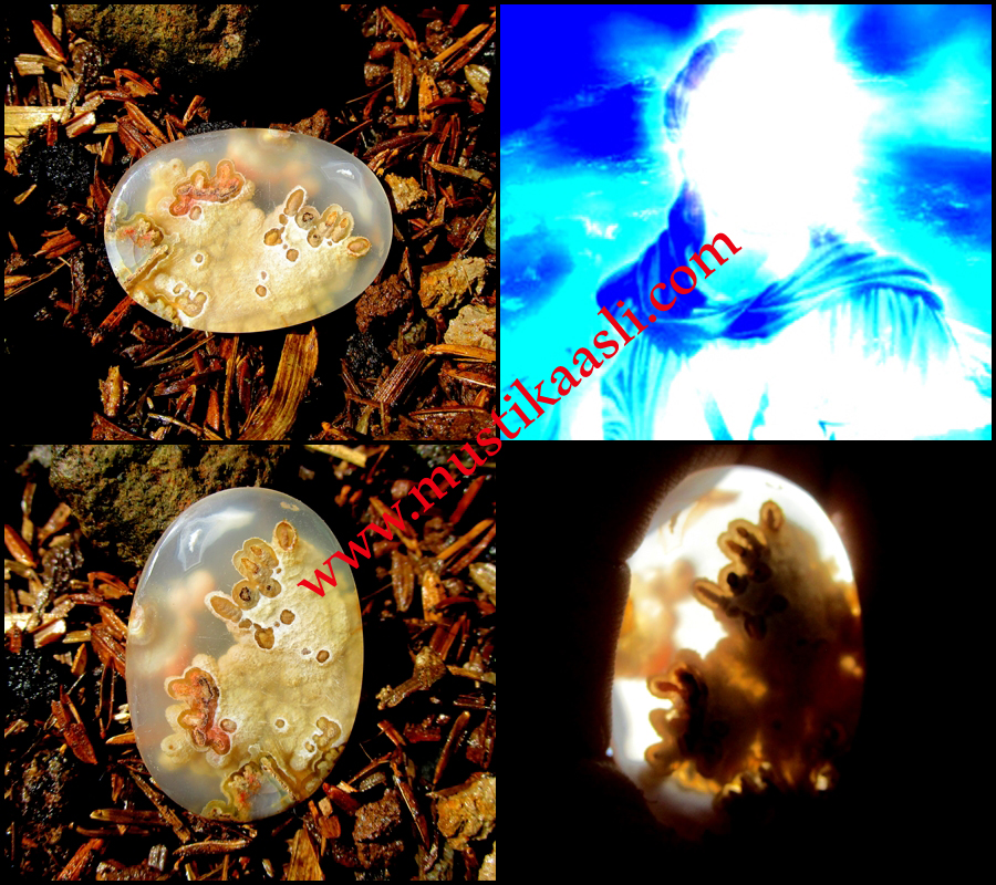 Mustika Khodam Pendamping Mustika Asli