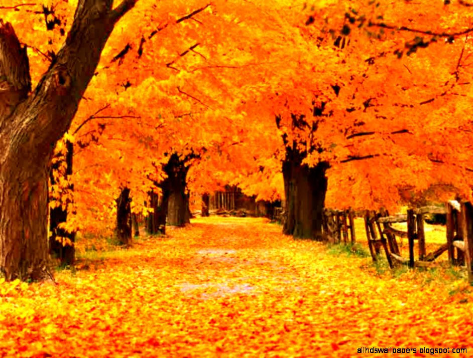 Free Fall Screensavers Wallpapers   Wallpaper Cave