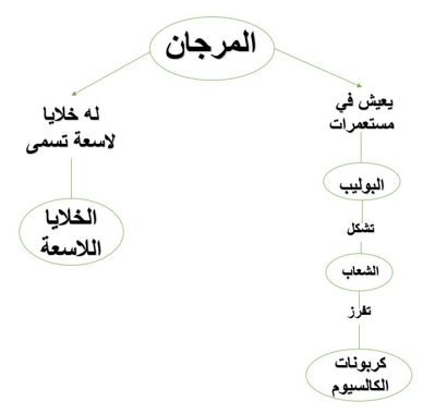 عدم وجود جهاز دوران من خصائص الحيوانات عديمة التجويف الجسمي.