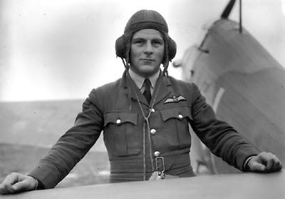 Four Bees: RAF, RCAF, Flight Wings, WW2 British, Post War Canadian