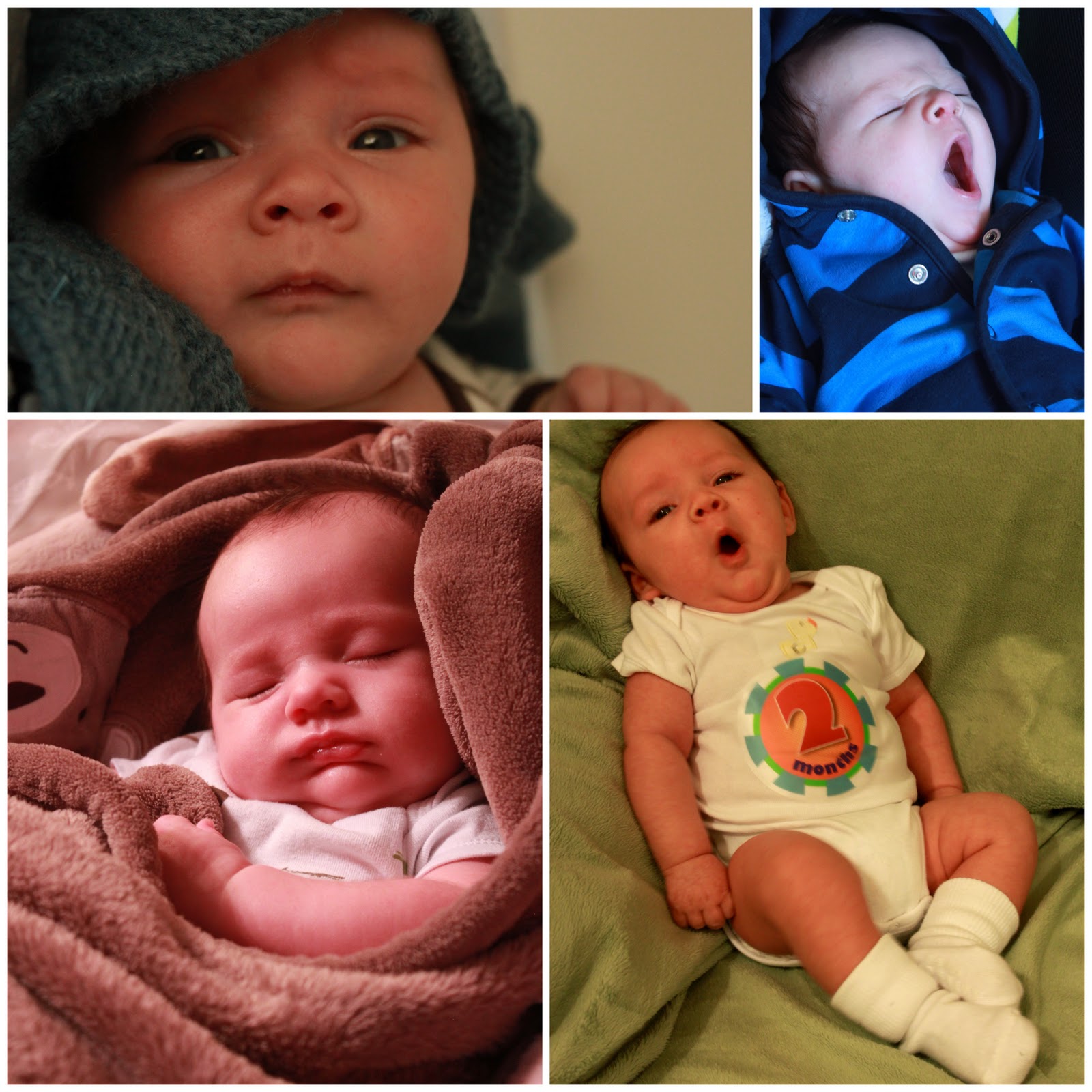 Moore Misadventures 2 Months And Growing