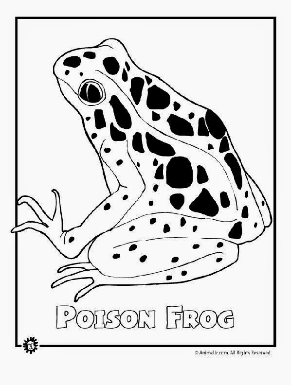 free endangered animals coloring pages - photo #32