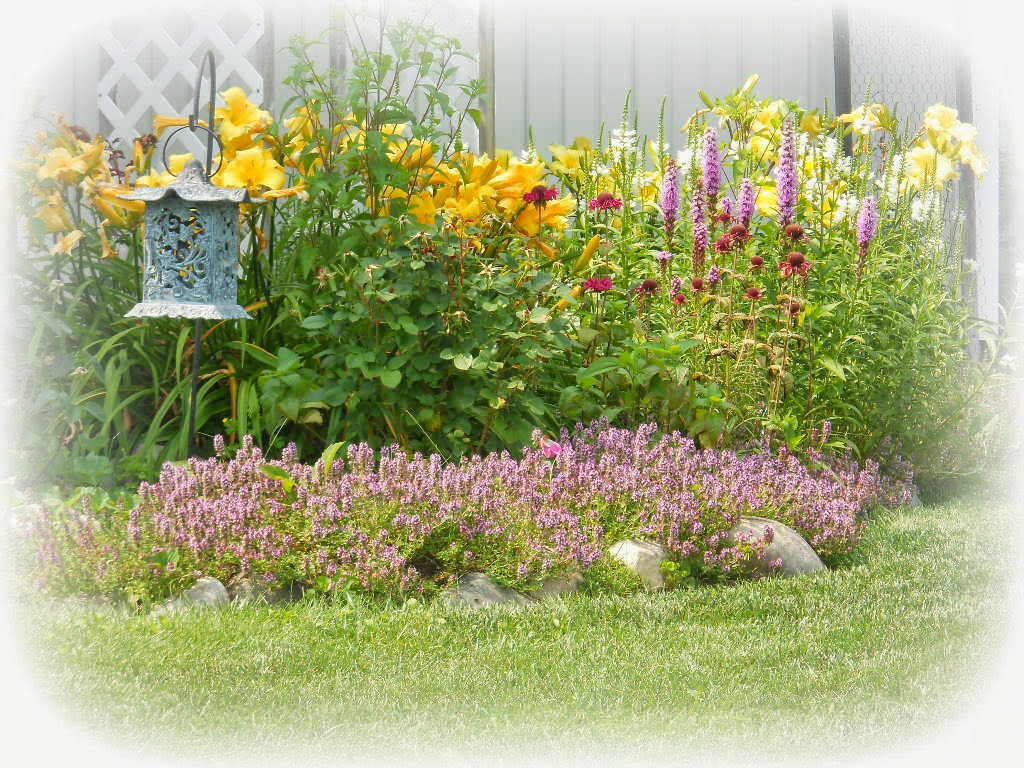 Lakehouse: July 2014