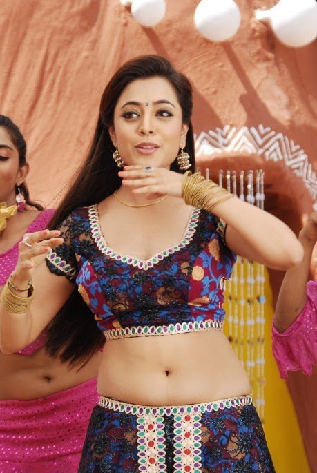 Tamilcinestuff Nisha Agarwal Latest Hot Navel Pics Hot Girls Are One Of The Most Beautiful