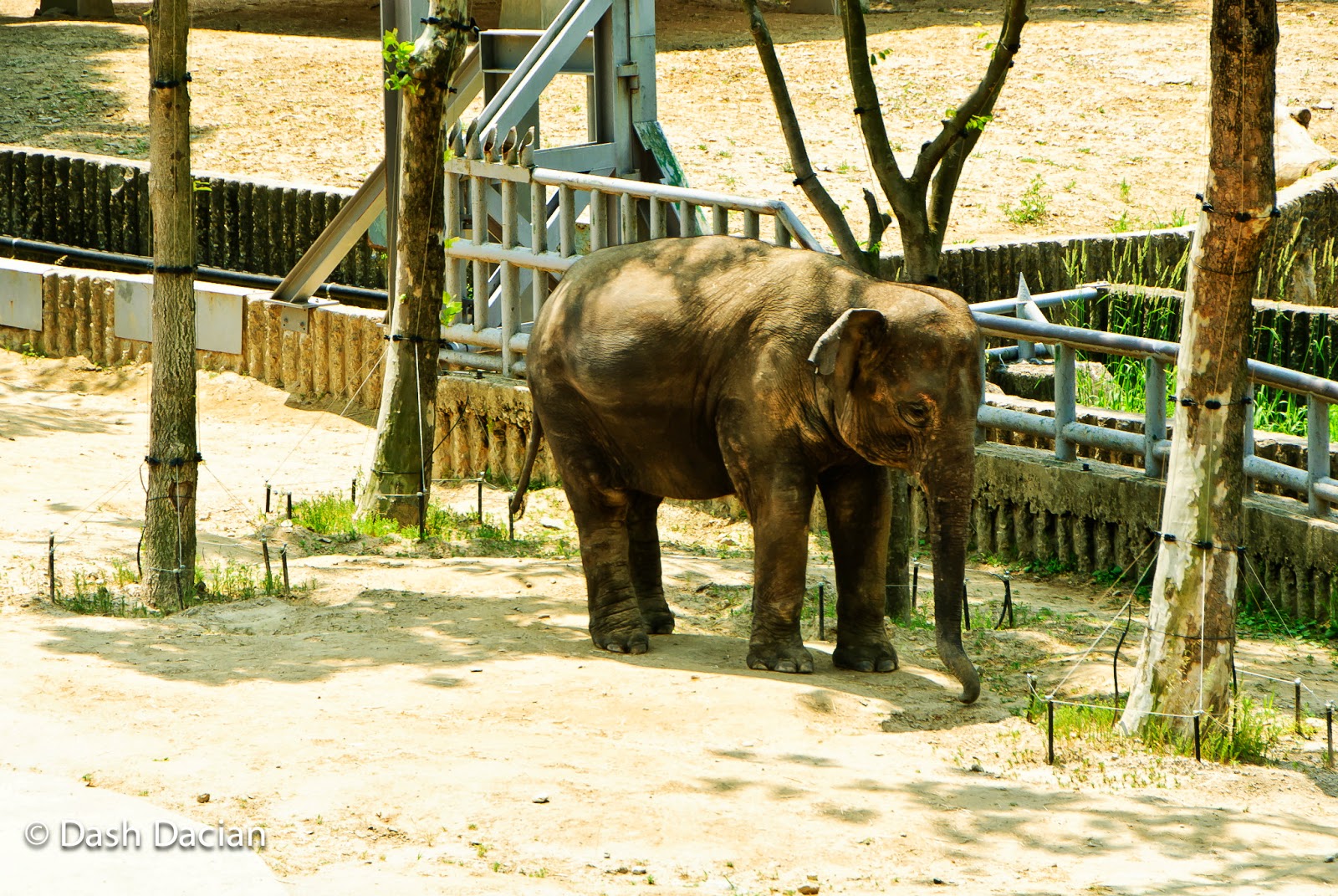 DOC.TRAPHO: Seoul Grand Park, Seoul Zoo