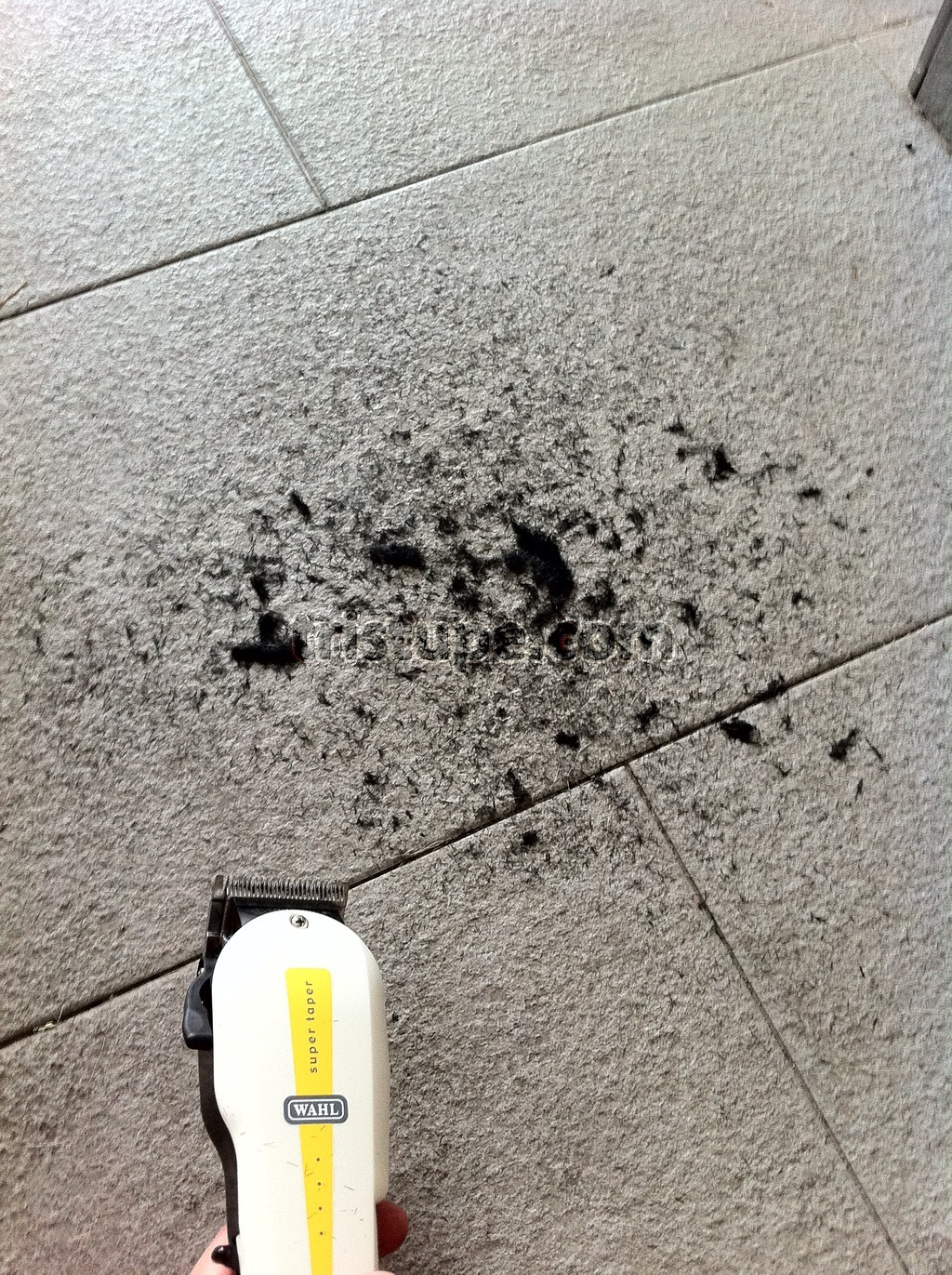 Review : Wahl Hair Clipper ~ TRISTUPE.COM