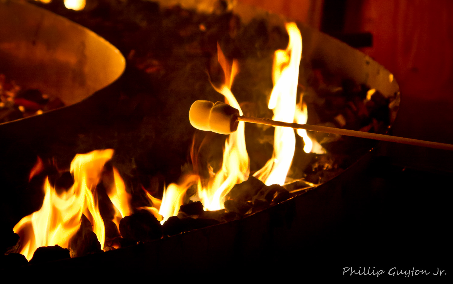 True Light Photography Riverbank Zoo's Lights Before Christmas