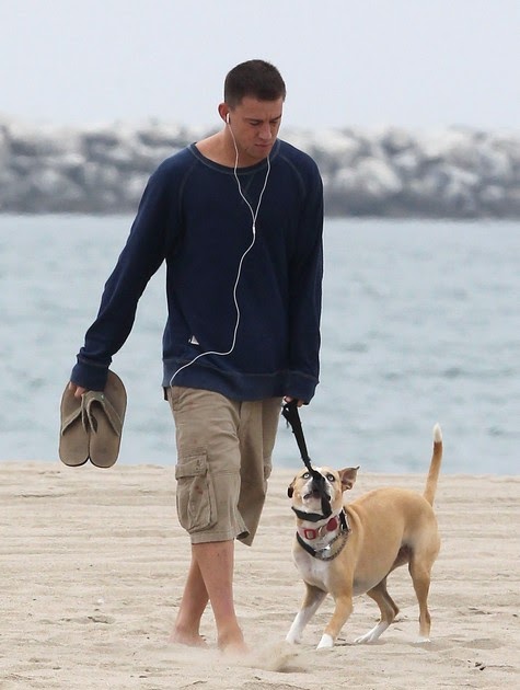 new channing tatum movie dog