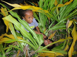 kids playing in bushes