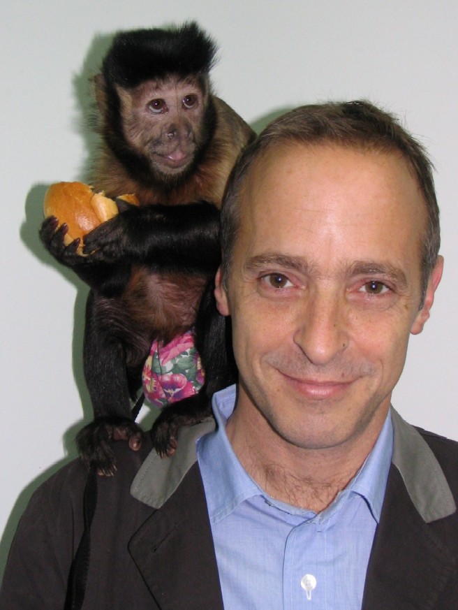 UN PAUSED Addressing The David Sedaris Problem UN PAUSED Addressing The David Sedaris Problem
