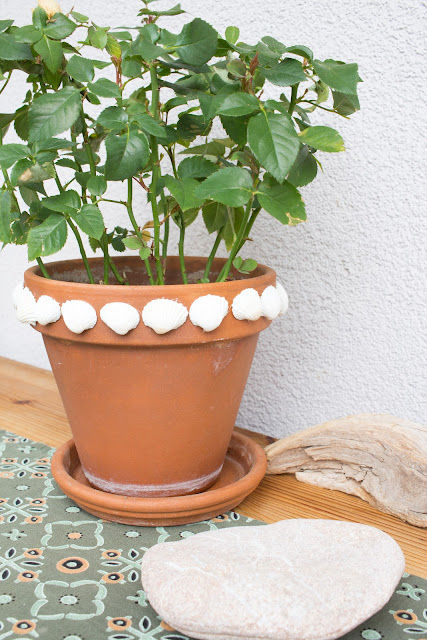 DIY | Blumentöpfe mit Muscheln gestalten - Ideen fürs Basteln und Selbermachen