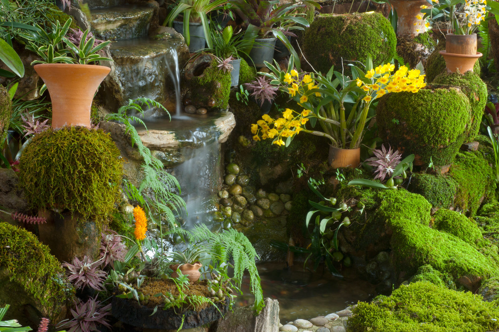 Spanish Moss Wholesale Mossman, Inc A Short Guide for Spanish Moss