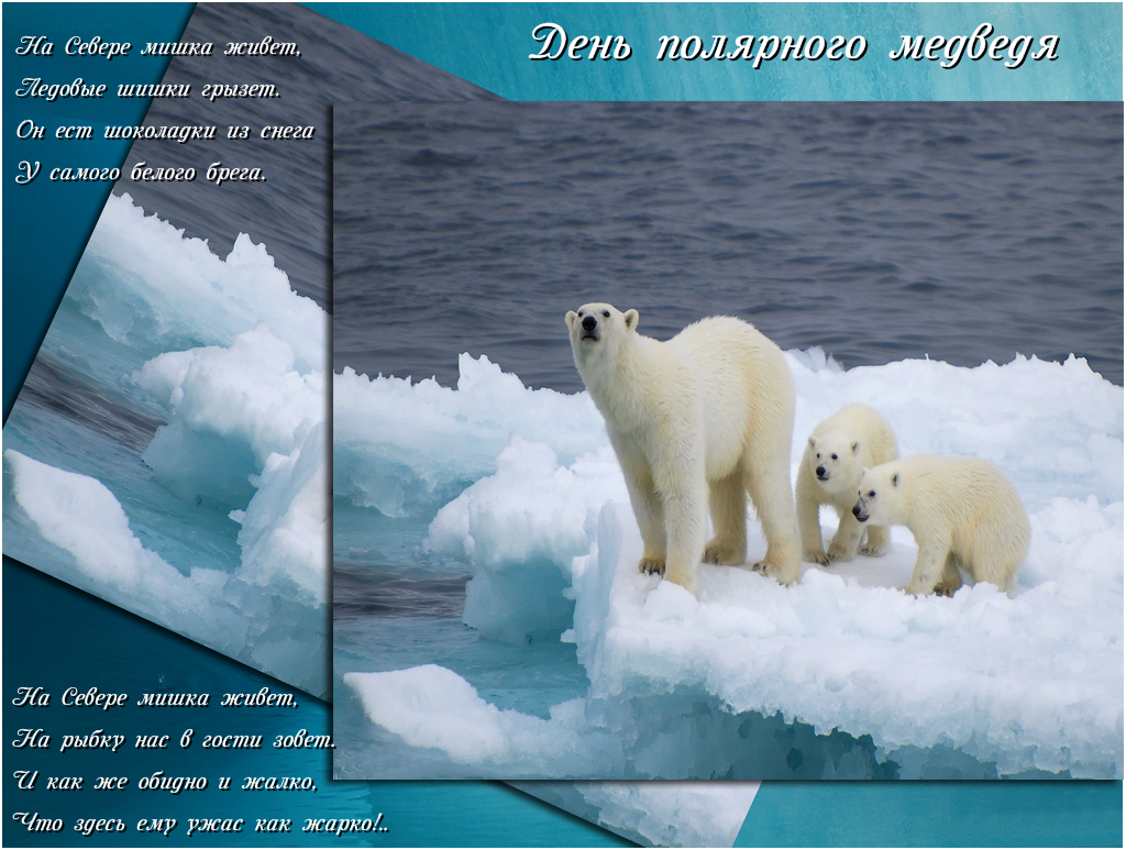 Белые дни в феврале. 27 Февраля Международный день белого медведя. Международный день полярного белого медведя 27 февраля. День белого медведя. Международный день полярного (белого) медведя.