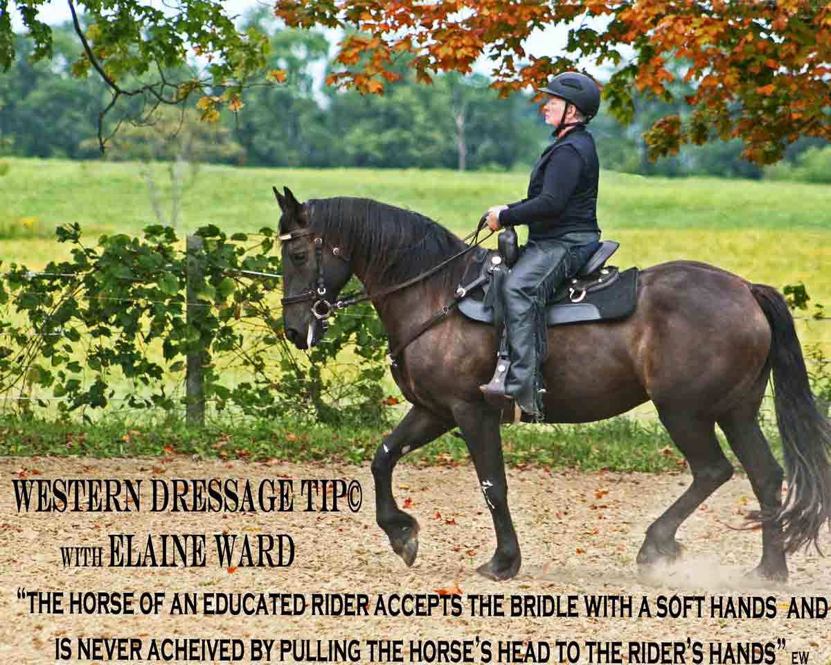 Elaine Ward Western Dressage: 2014