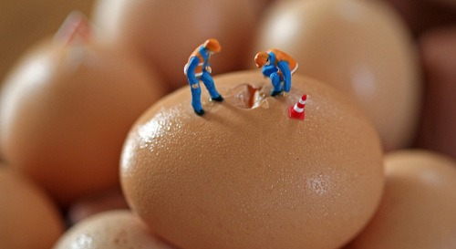 05-Christopher-Boffoli-Bio-Miniatures-with-Food-Egg-Repair