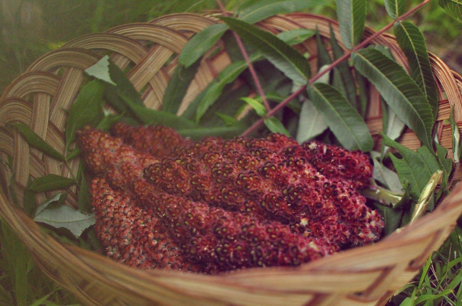 The Sumac Song (a howto for sumacade)