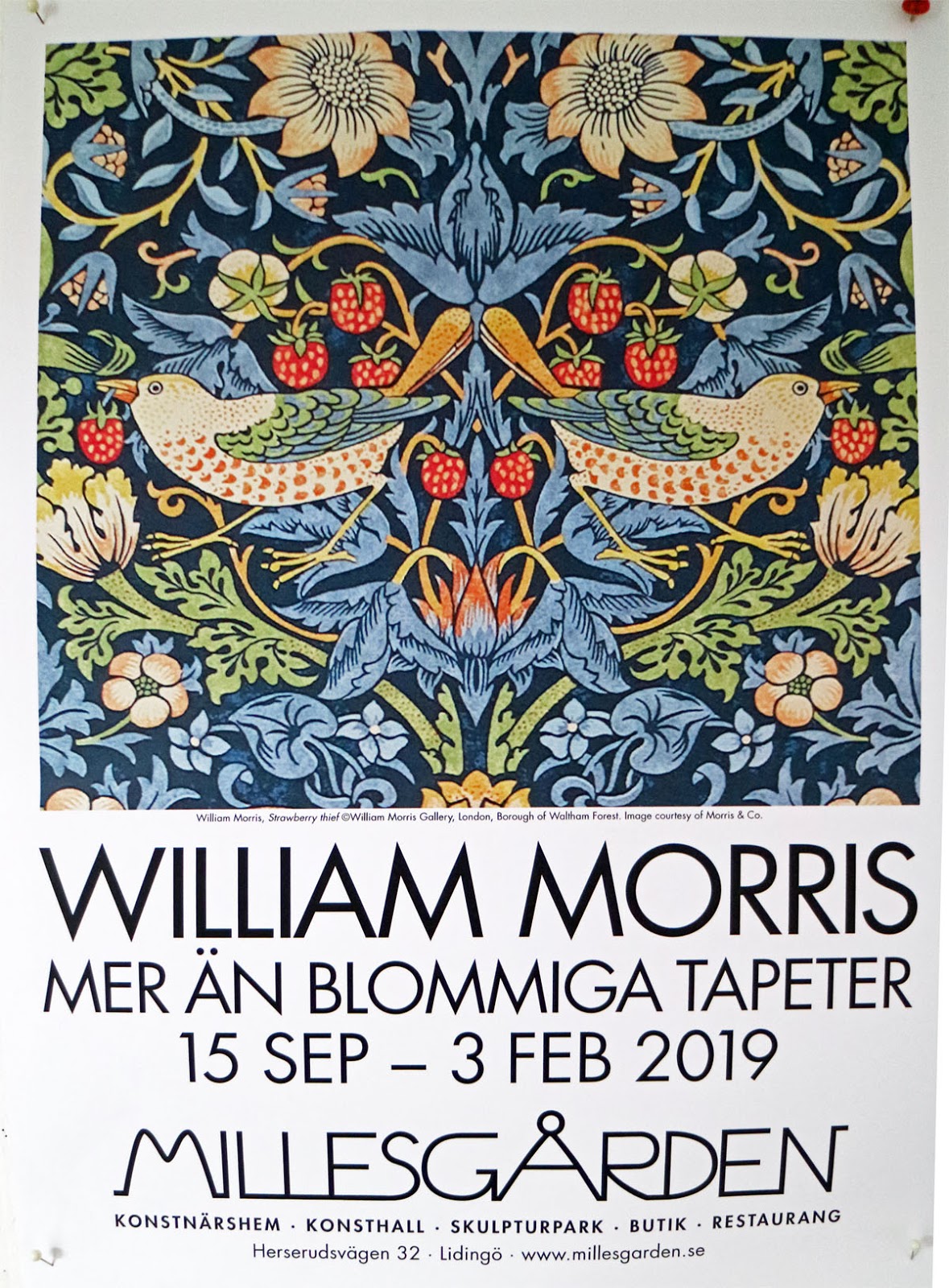 Вильям моррис постеры. Земляничный воришка уильям моррис. Уильям моррис картины. Вильям моррис постеры. Уильям моррис постер.