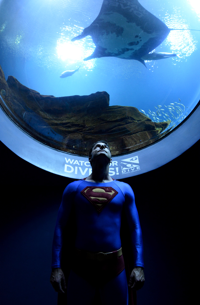 wanderlust ATLANTA Dragon Con Night at Aquarium 2016