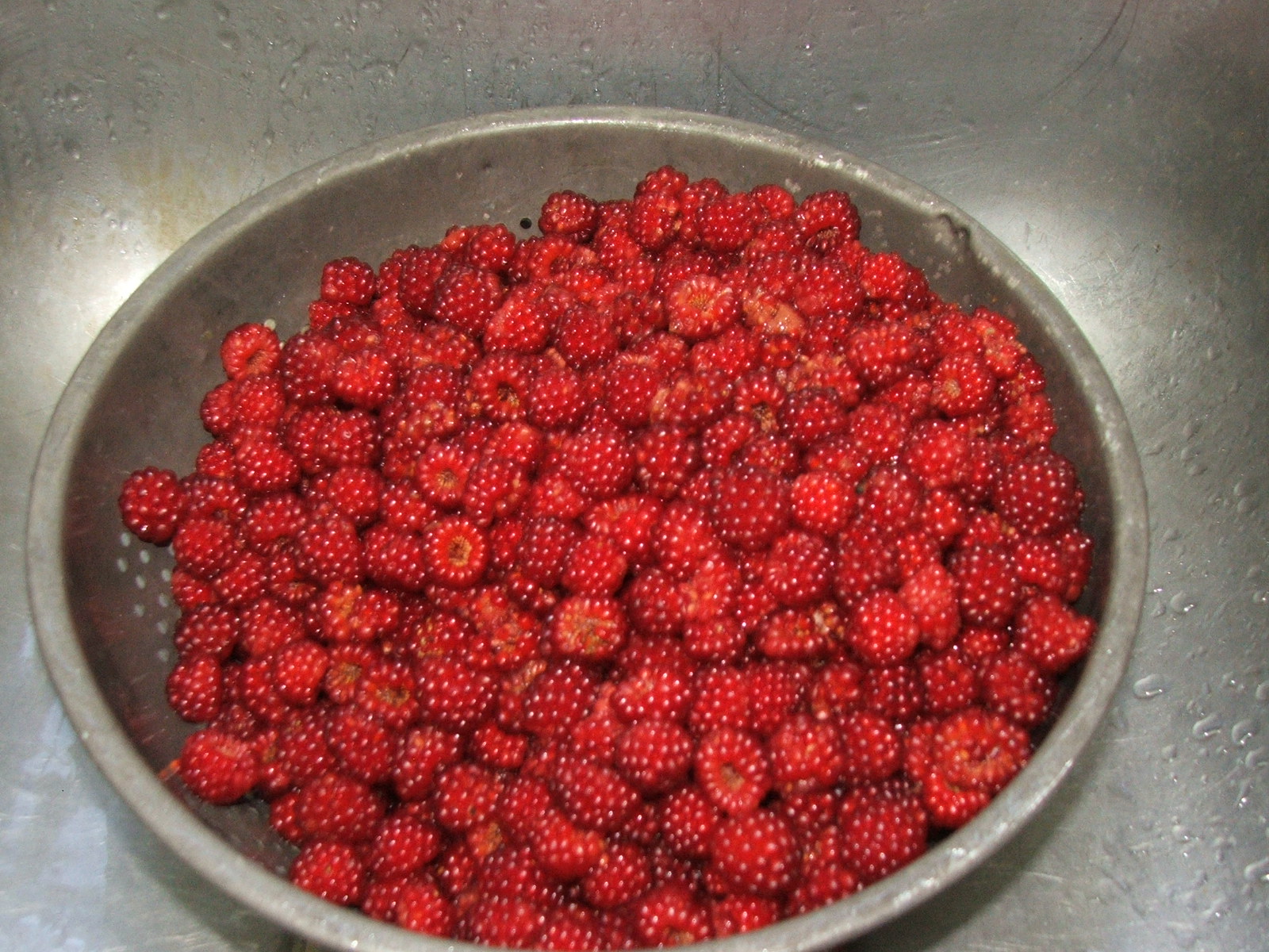 Tips and Encouragement from a Homeschooling Mom Wild Wine Berry Jelly/Jam