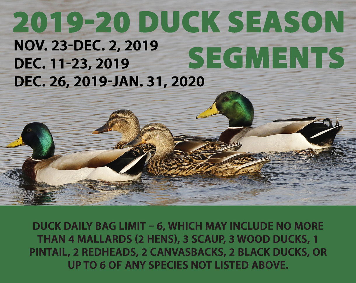 Outdoors Duck Season Opening Nov. 23