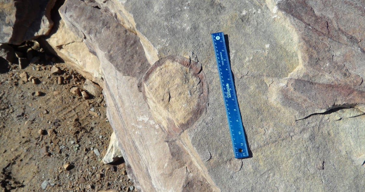 Fossils and Geology of Lanark County, Ontario The Ellisville Potsdam