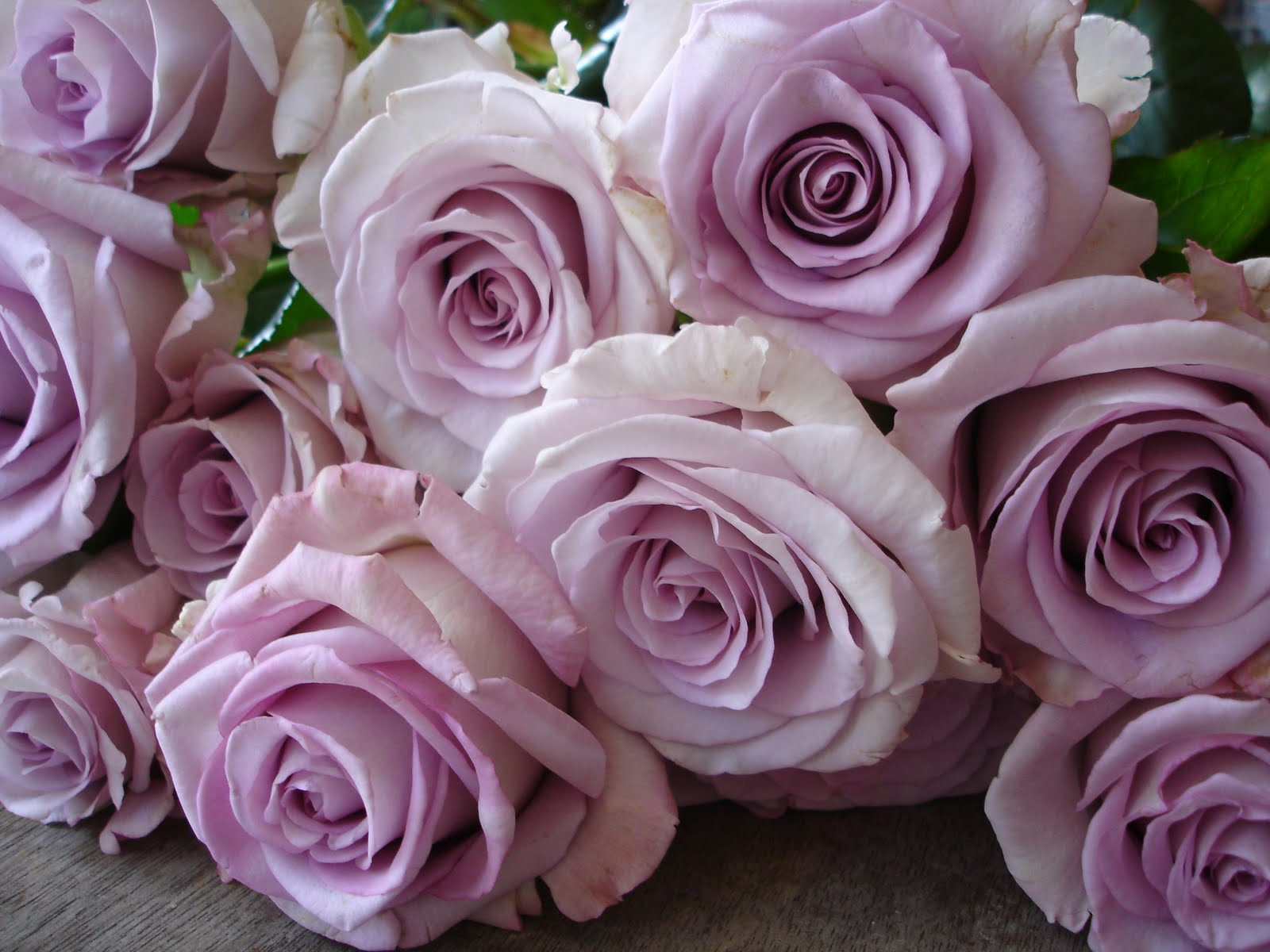 Blue Skies and Bunting: Which Dusky Roses for your Vintage Wedding?