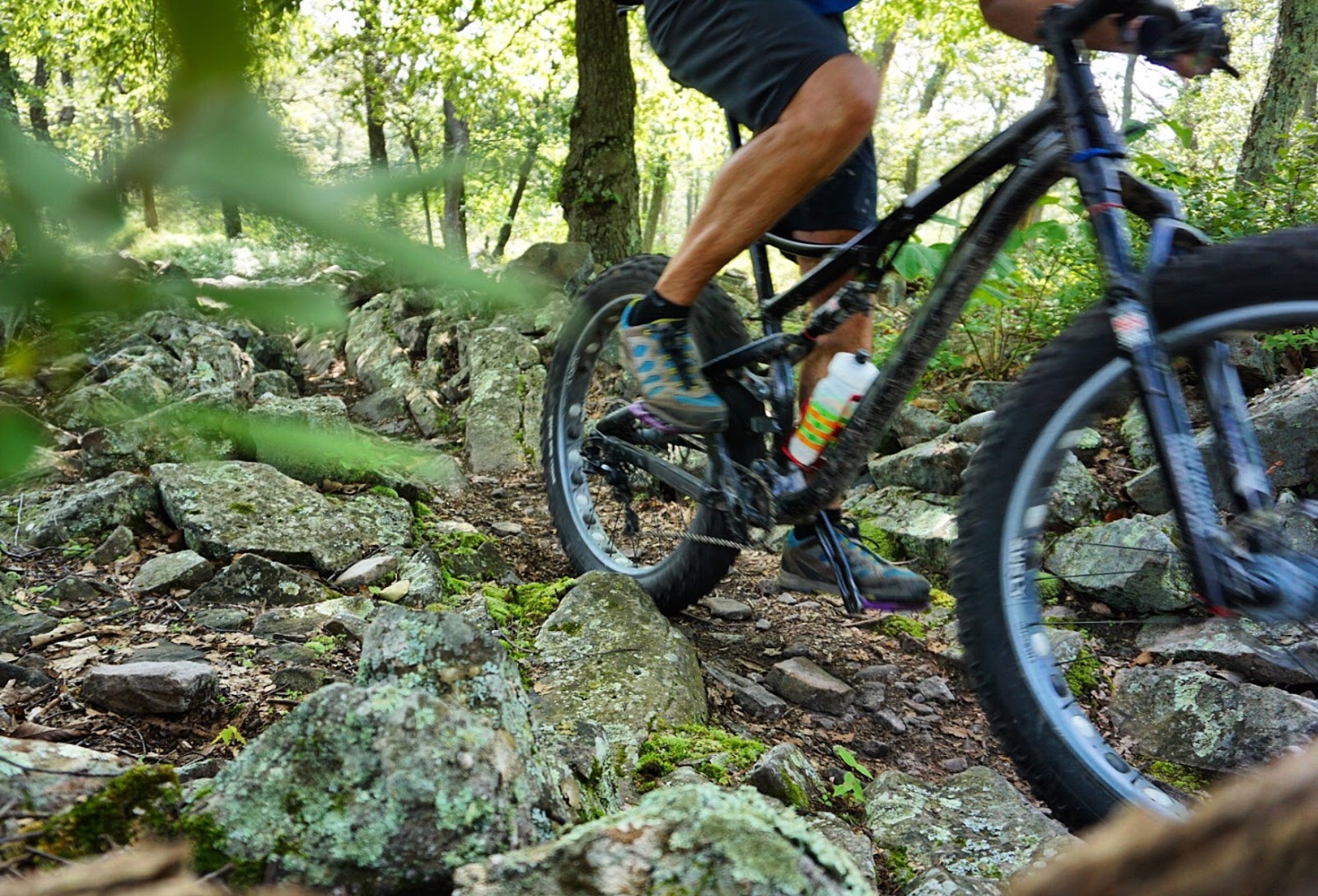 PA Environment Digest Blog 2019 PA Mountain Bike Summit Set For May 10
