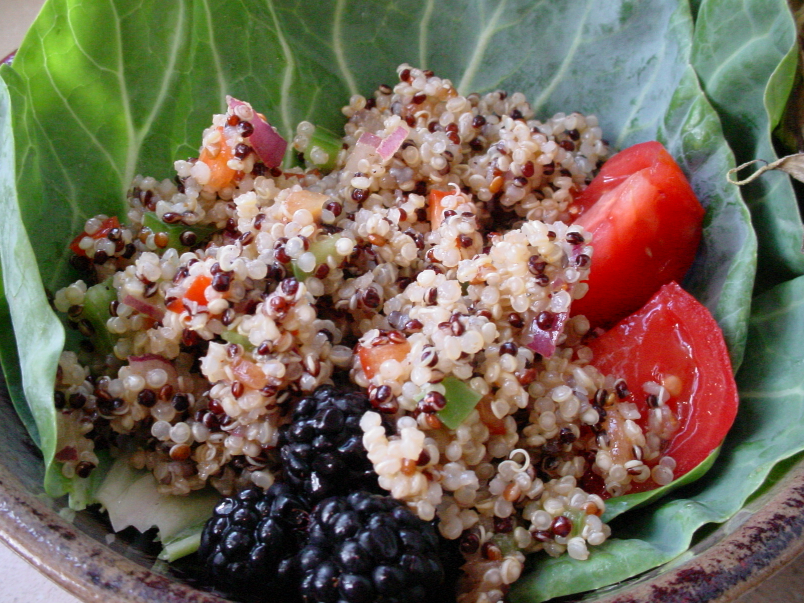 Flitzy Phoebie MultiColored Quinoa Salad