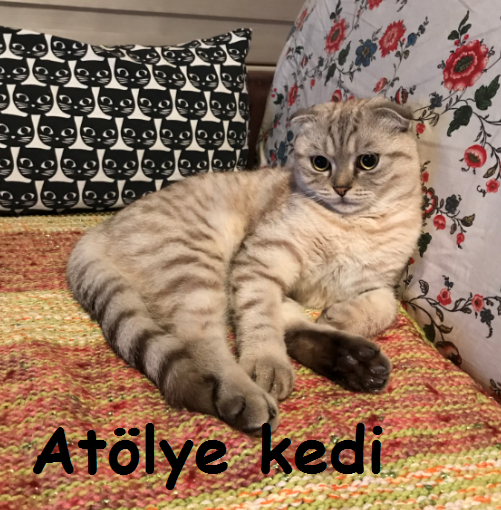 Atölye Kedi Cumadan Pazara…