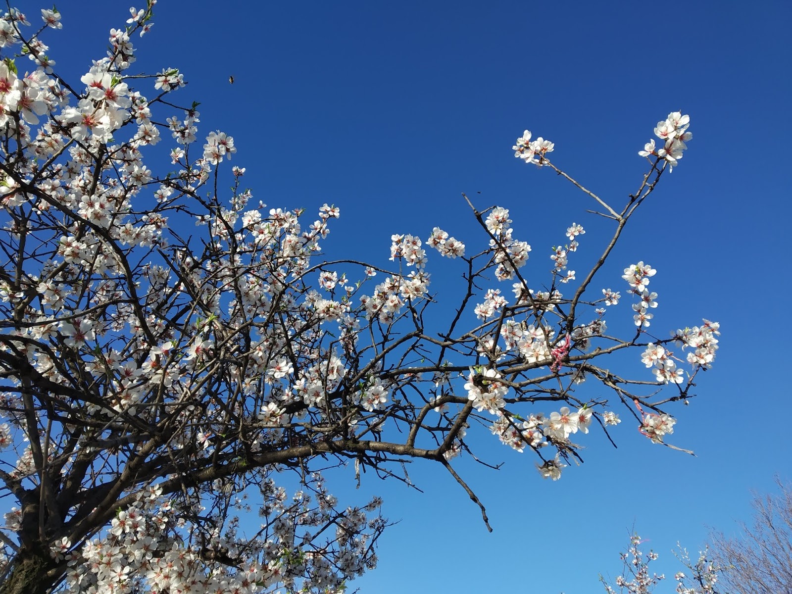 Човекът и неговата Вселена: Пролетното равноденствие, Лъвът и Супер Луната.
