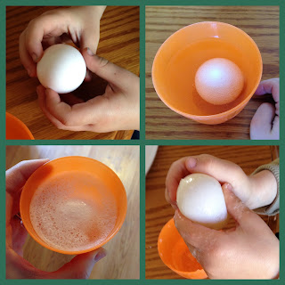 Eggs-periment soaking egg in vinegar