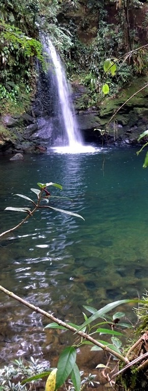 Uma das muitas cachoeiras da Reserva