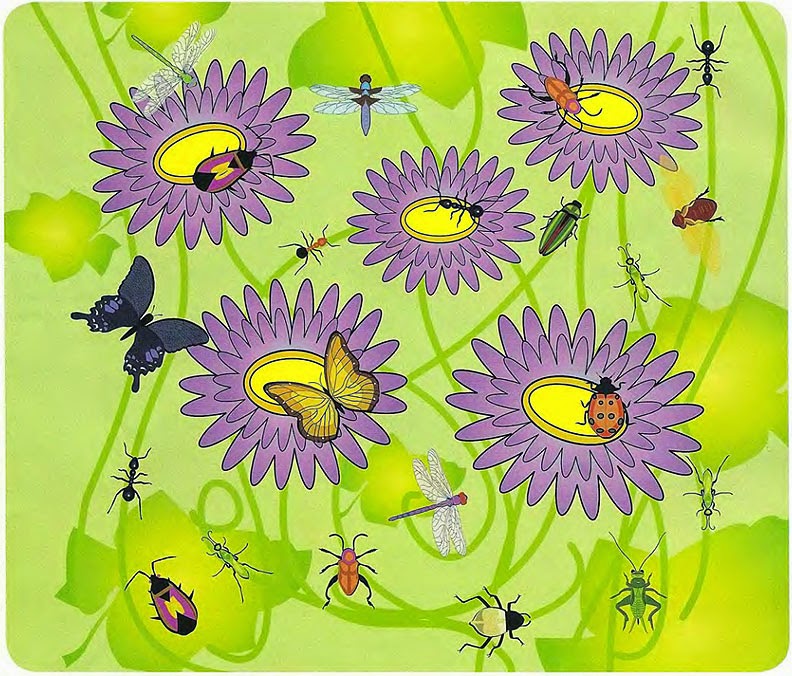 найди жучка. насекомые картинки для детей. математические божьи коровки для дошкольников. насекомые для дошкольникл. найди жучка.