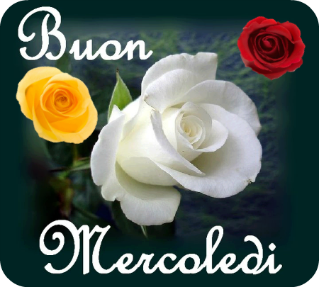 TuttoPerTutti: 30 DICEMBRE 2015 - Mercoledì