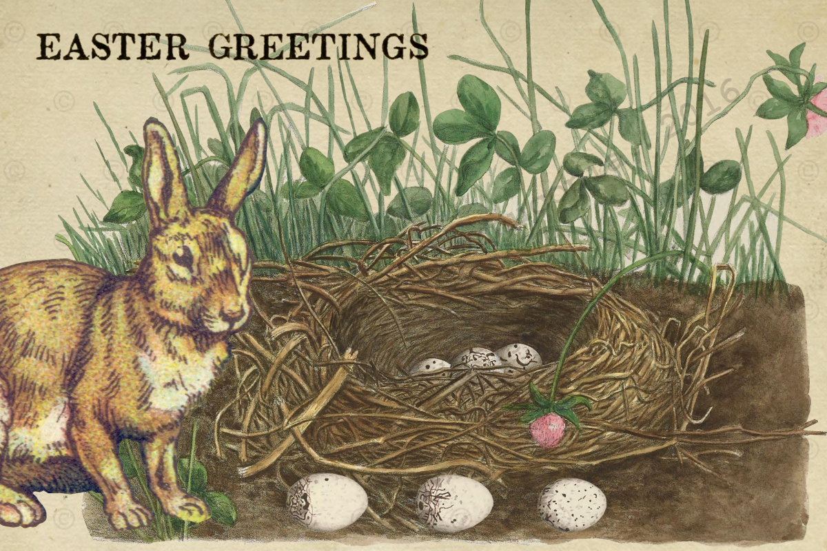 Anne&rsquo;s Creative Cornucopia: &ldquo;Easter Greetings&rdquo; - Postcard