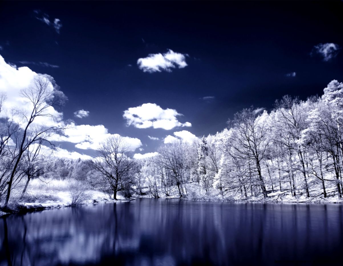 Winter Snow Scenes Wallpaper  All HD Wallpapers