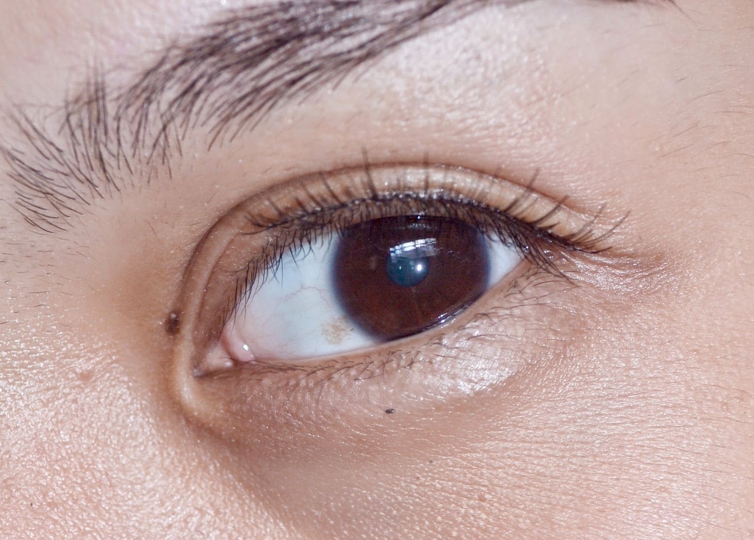 Lava Bean Review Duo Lash Glue In Clear