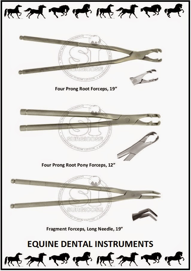 SURGICOSE DENTAL INSTRUMENTS EQUINE DENTAL TOOLS