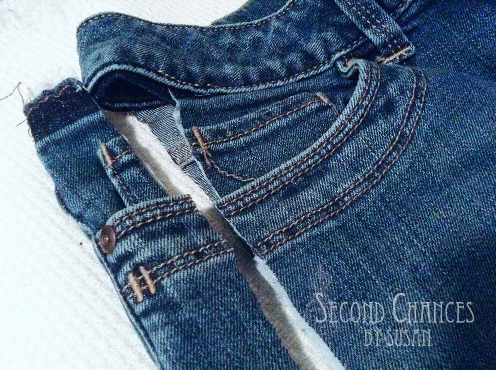 Second Chances by Susan: 