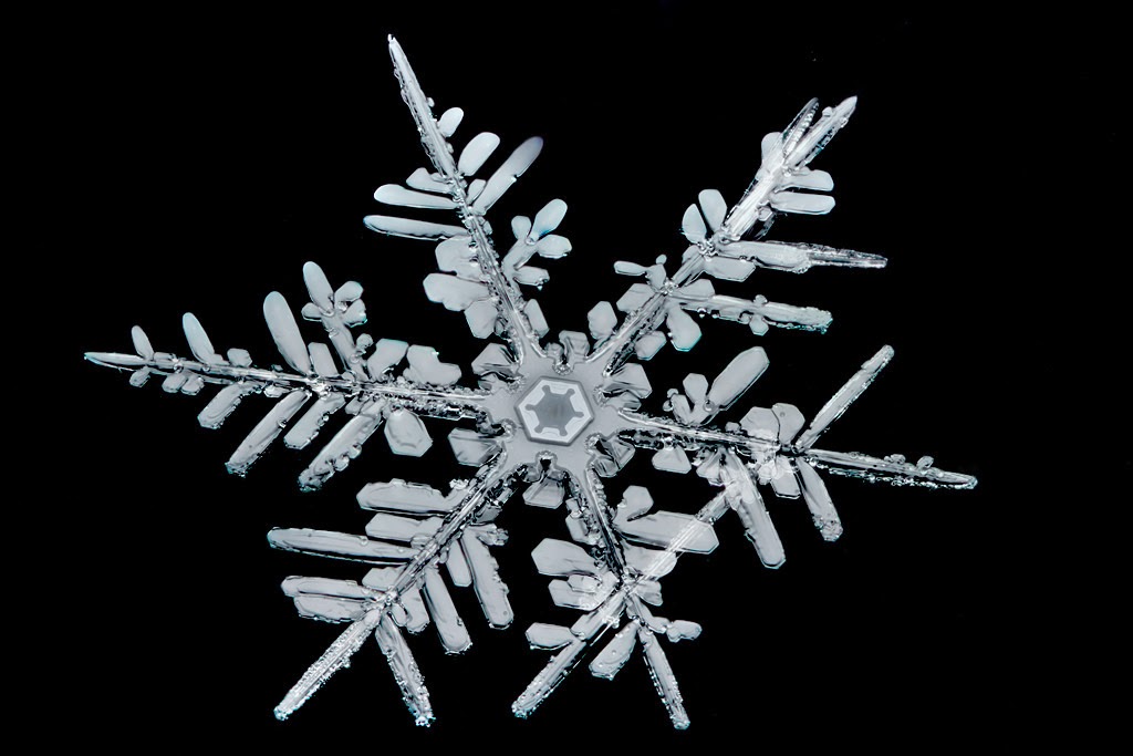 Microscopy image of a snowflake.