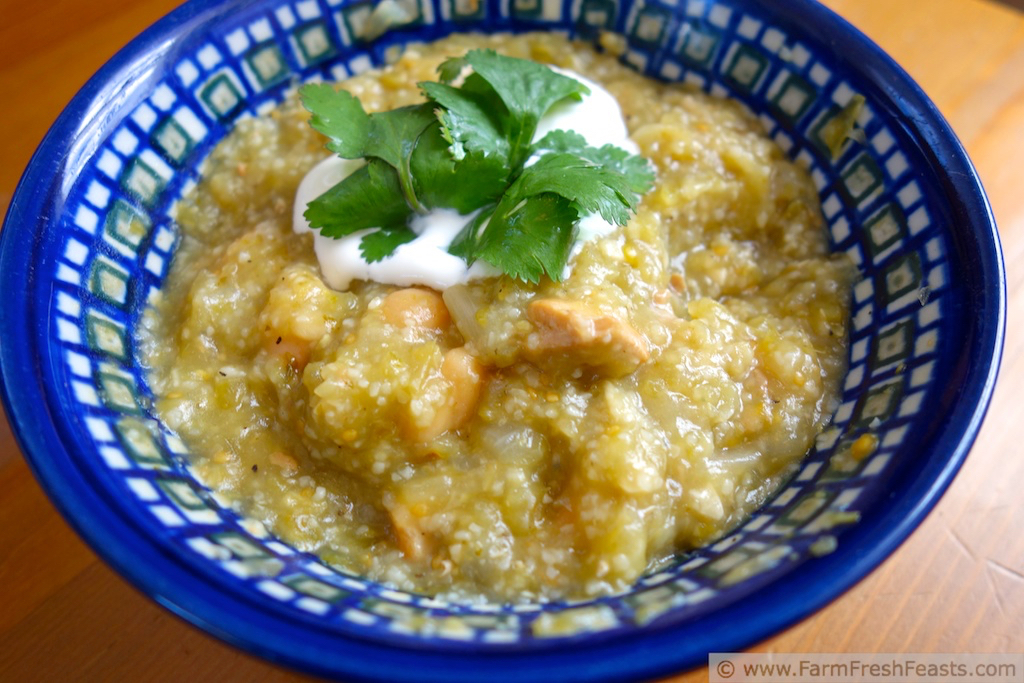 Farm Fresh Feasts Chorizo and Green Tomato Chili