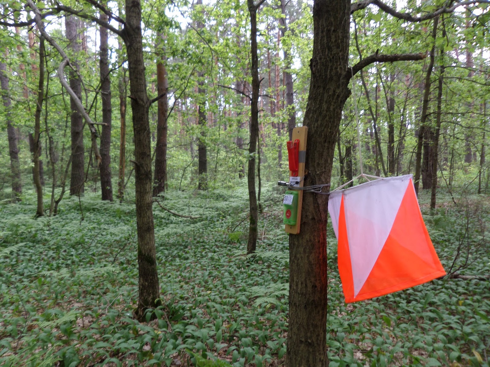 Цфо спортивное ориентирование. Контрольный пункт для рогейна.