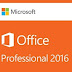 Download Microsoft Office Professional Plus 2016 16.0.4405.1000 July 2016