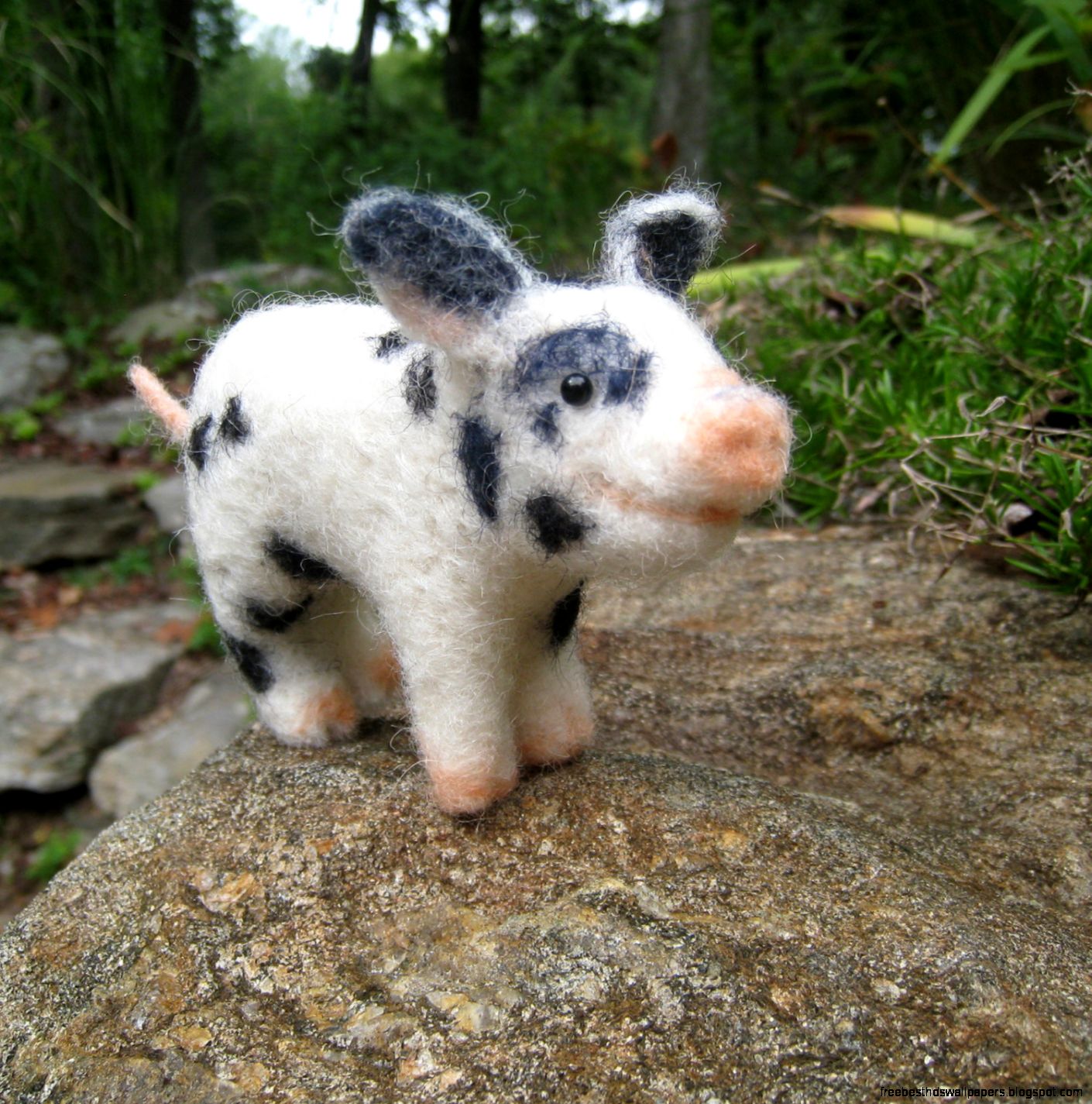 Animal Teacup Pigs