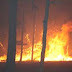 Combaten a 747 incendios forestales en Chihuahua