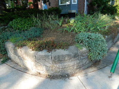 Toronto Garden Cleanup in Riverdale After by Paul Jung Gardening Services--a Toronto Gardening Company Toronto Garden Cleanup in Riverdale After by Paul Jung Gardening Services--a Toronto Gardening Company