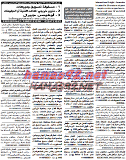 وظائف خالية من جريدة الوسيط مصر الجمعة 20-11-2015 %25D9%2588%2B%25D8%25B3%2B%25D9%2585%2B3