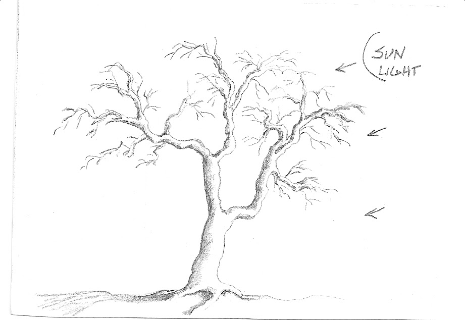 Simple Sketch Easy Tree Drawing 
